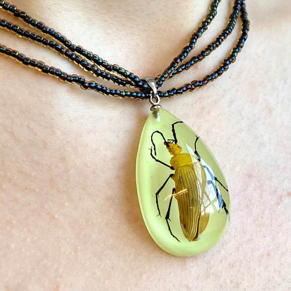 Real Beetle Necklace - vintage - glow in the dark. - Picture 4 of 4
